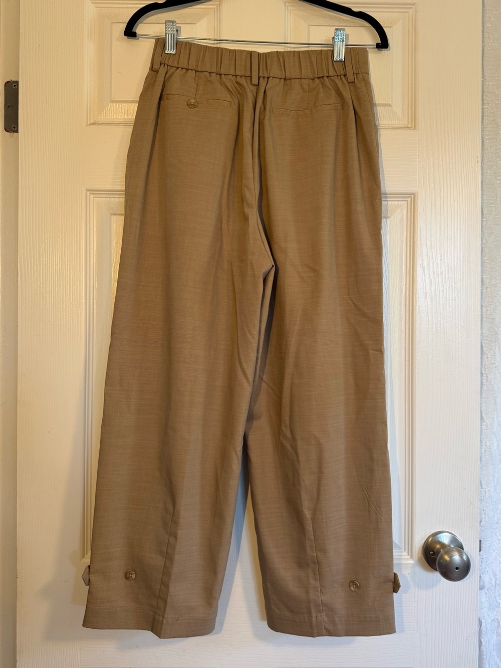 PETITE STUDIO: Beige Pants - Picture 3 of 6